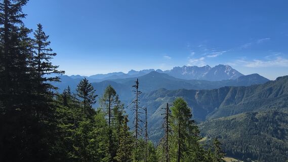 Fotografia z AnnJu na trase
