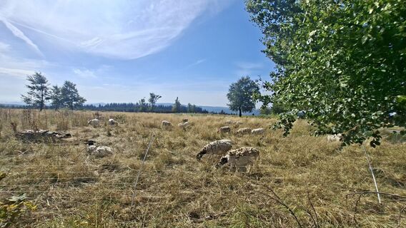 Photo de Torsten Sledz le long du parcours