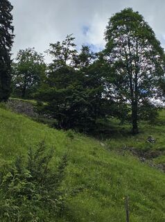 Fotografie z Angelika Gerung na trase