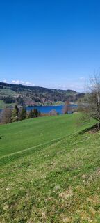 Fotografija s spletne strani Thomas Klein na poti