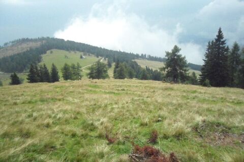 Ausblick von der Gmoa-Alm