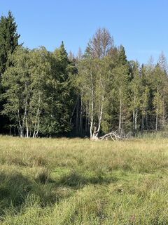 Fotografia z Robert Rettig na trase