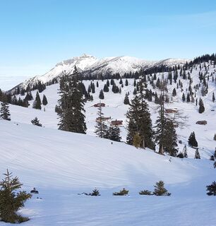 Schneeschuhwanderung Almengebiet Brandenberg