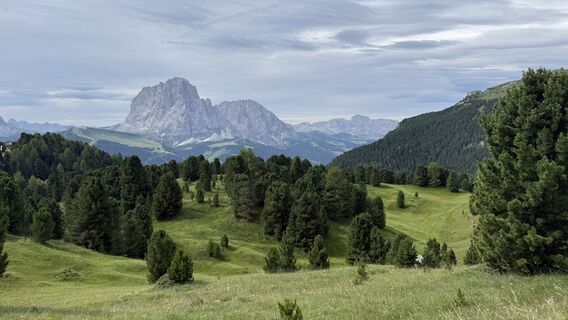 Photo de Steve Bowen le long du parcours