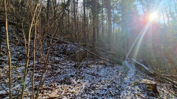 Foto von EP87 entlang der Tour