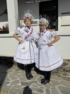 Zemljevid
