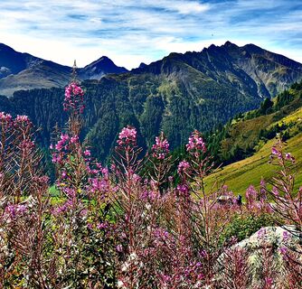 Kletterfelsen