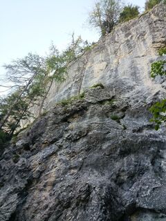 Photo de Jokerle le long du parcours