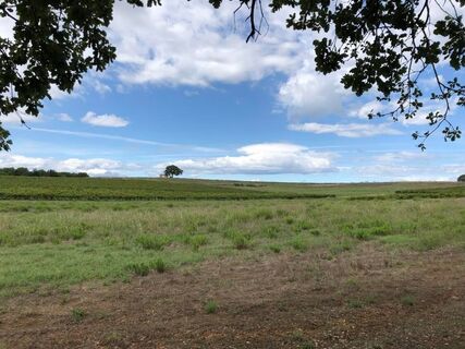 Ebene und Weinberg - Rundweg Nr. 6