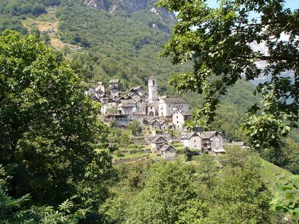 Corippo