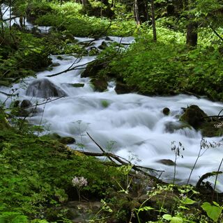 Salzkammerweg