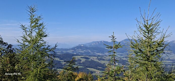 Foto von Monikakrenn entlang der Tour