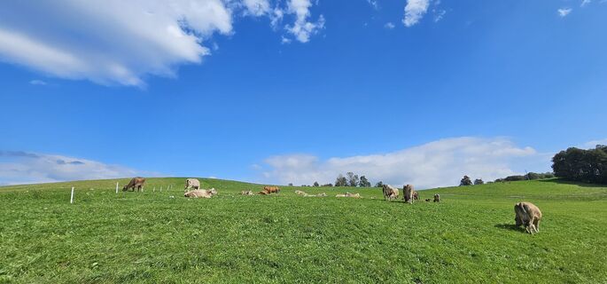 Foto von Nico entlang der Tour