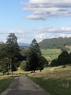 Foto von Mirrou entlang der Tour