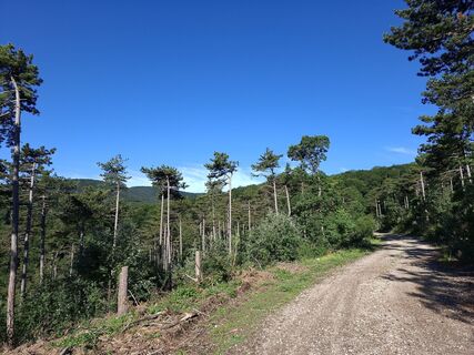 Foto von Martin Penker entlang der Tour
