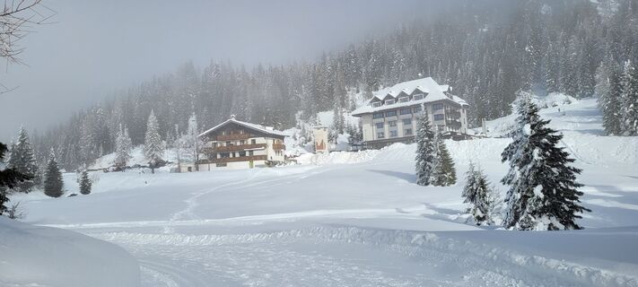 Foto von Nicky entlang der Tour