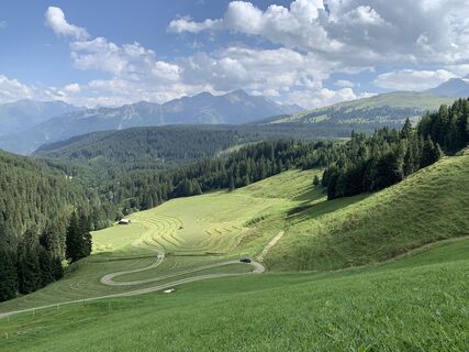 Fotó a Koen De Wit honlapról a túra során