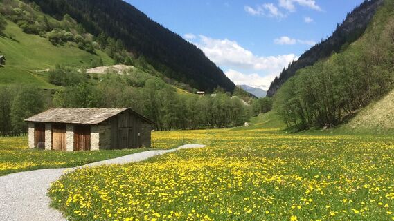 Gäud