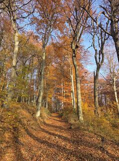 Foto von János Zsolt Mahr entlang der Tour