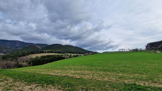 Photo de EP87 le long du parcours