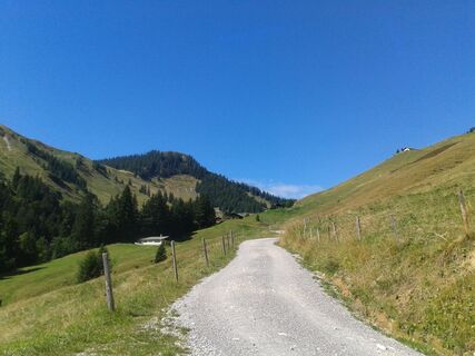 Baumgartenalm (2).jpg