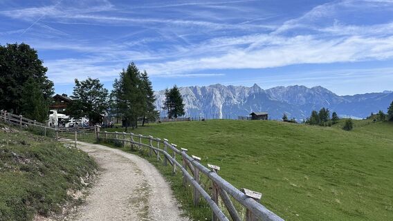 Foto von Mountain Cat ? ⛰️ entlang der Tour