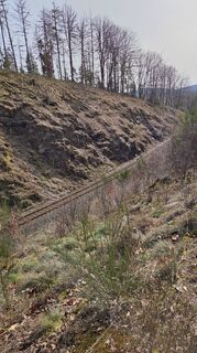 Photo de Gabriele Wagener le long du parcours