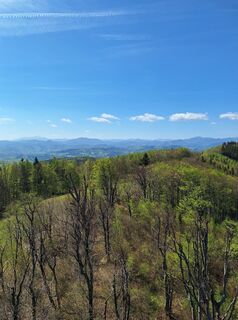 Fotografija s spletne strani Mimi na poti