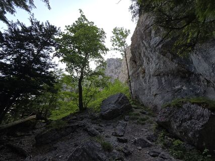 Fotografija s spletne strani GerhardAho na poti