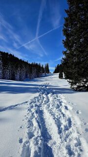 Fotó a se_muck honlapról a túra során