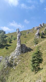Photo de michael Wolfger le long du parcours