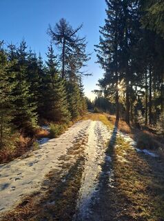 Foto von Lang Karl 1962 entlang der Tour