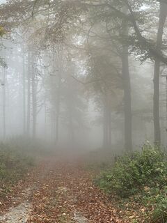 Fotó a Babs Holz honlapról a túra során