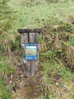 Alpenblumenweg-Oberseite-panoramatafel-c-p-veider.jpg