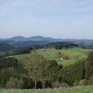 Zemljevid