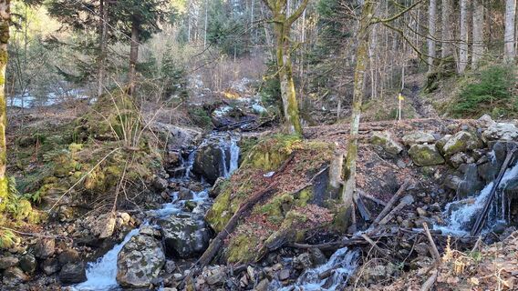 Fotografija s spletne strani fschwarzenberger na poti