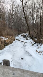 Foto von Pfefferam entlang der Tour