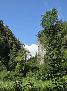Foto von Transfer entlang der Tour