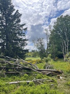 Fotografie z Olaf Mönig na trase