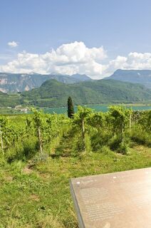 wein.weg in Kaltern am See
