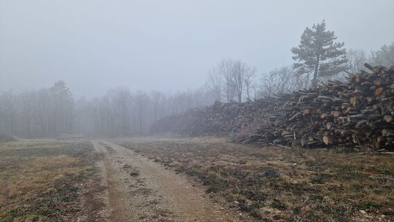 Fotografia z Claudia Maurer na trase