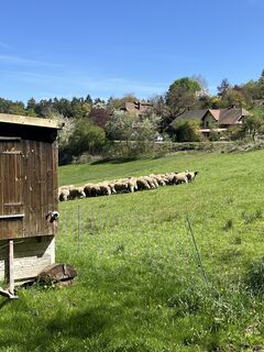 Foto von Zaid Mansour entlang der Tour