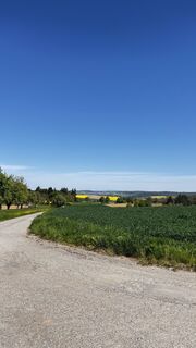 Fotografija s spletne strani Frankjogger na poti