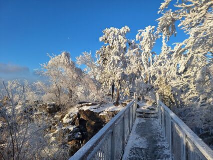Photo de Bernadette Erla le long du parcours