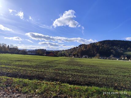 Foto från Barbara Galle under resans gång