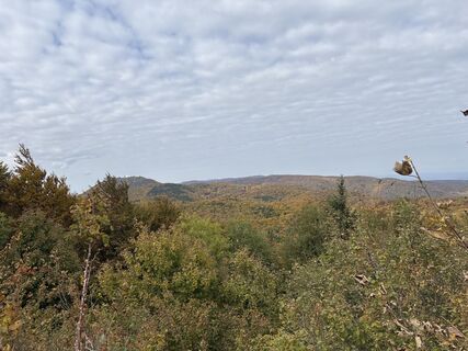 Photo de Schmidt Zsuzsi le long du parcours