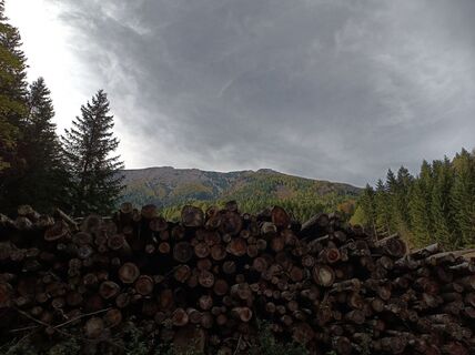 Foto von Bergpirat entlang der Tour