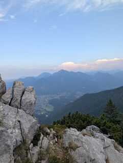 Photo de Stubi le long du parcours