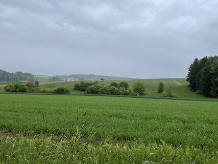 Streifzüge Panoramaweg Mangengraben