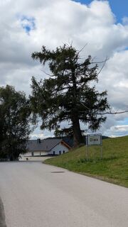 Fotografia z Roman Kutschera na trase